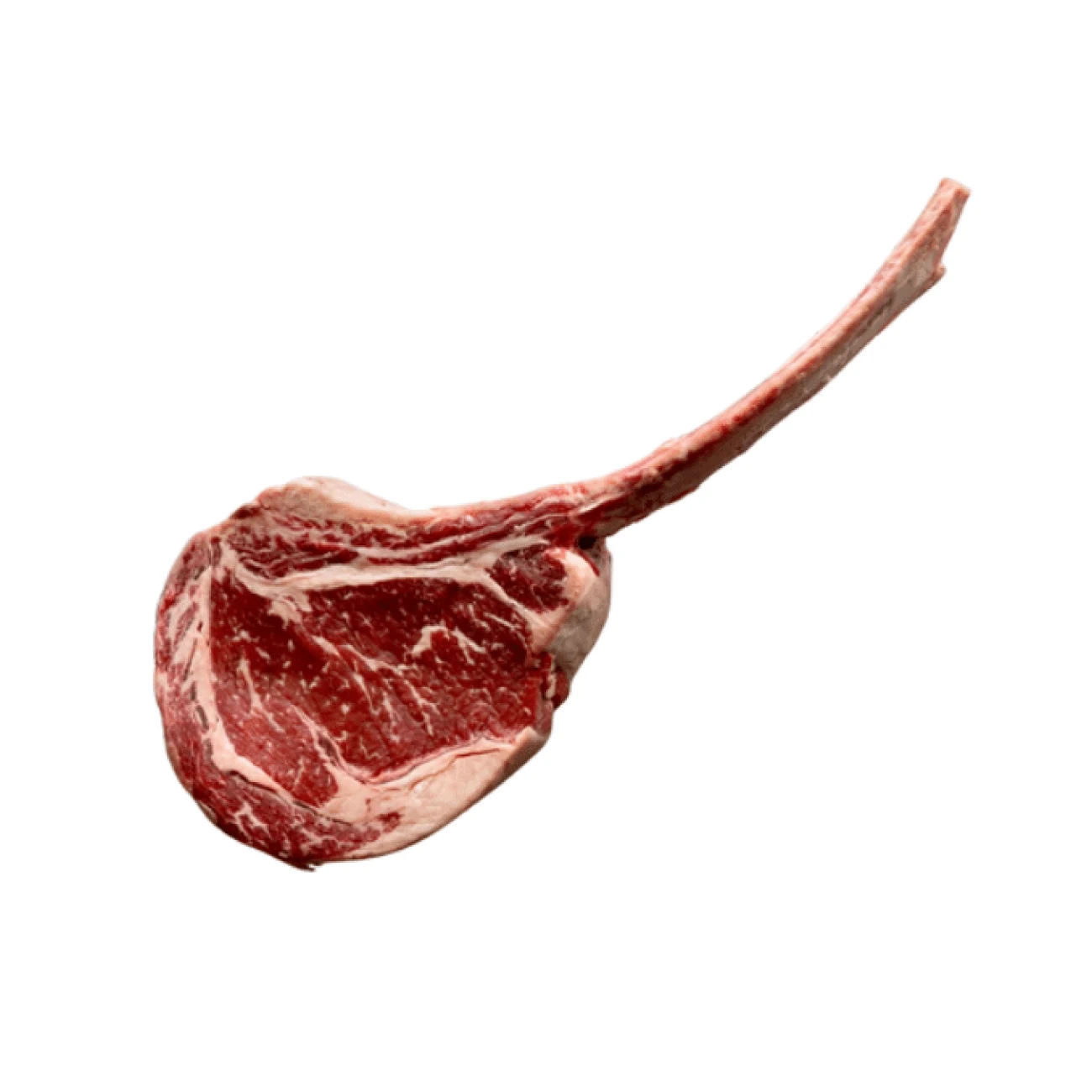 product card image